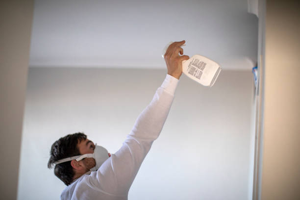Best Residential Mold Removal  in Brookville, NY