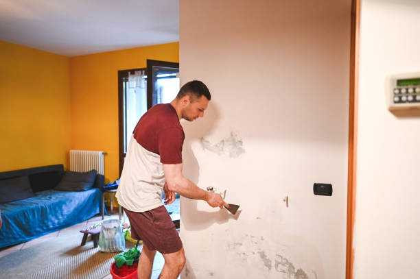 Best Attic Mold Removal  in Brookville, NY